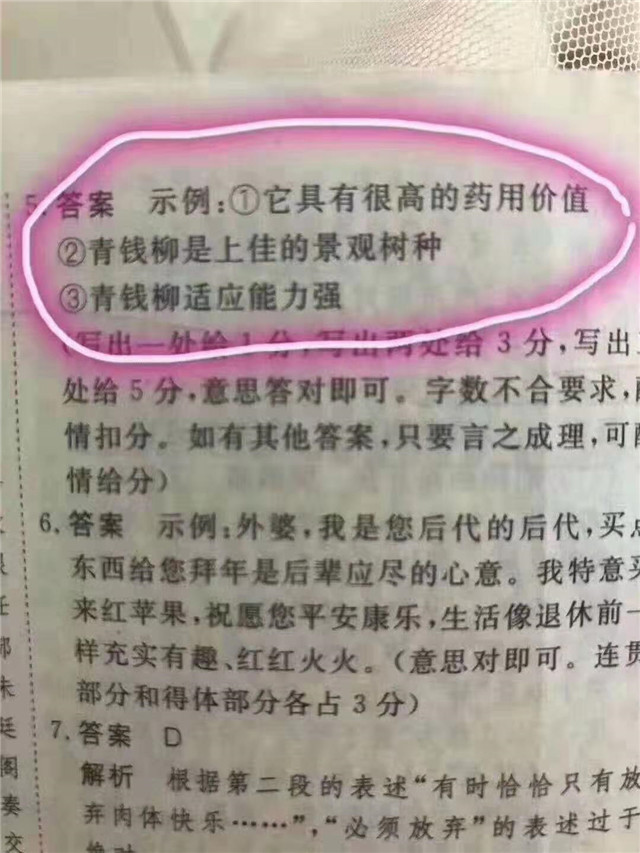 青钱柳被写进教科书，这是得到了国家认可的。