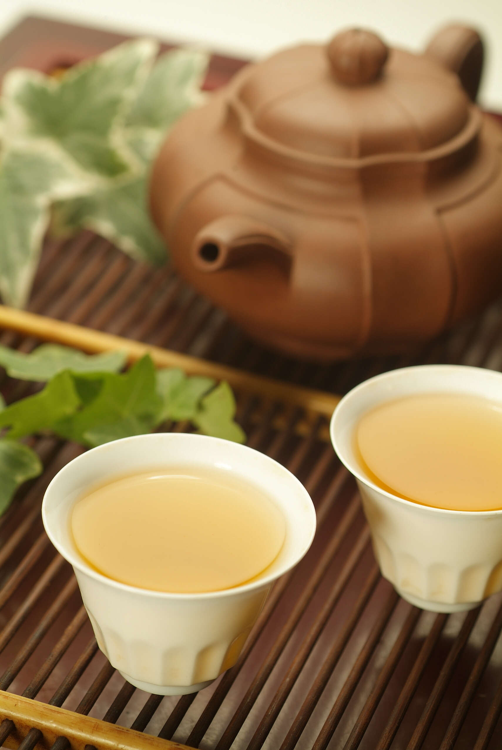 黄茶价格 黄茶多少钱一斤？