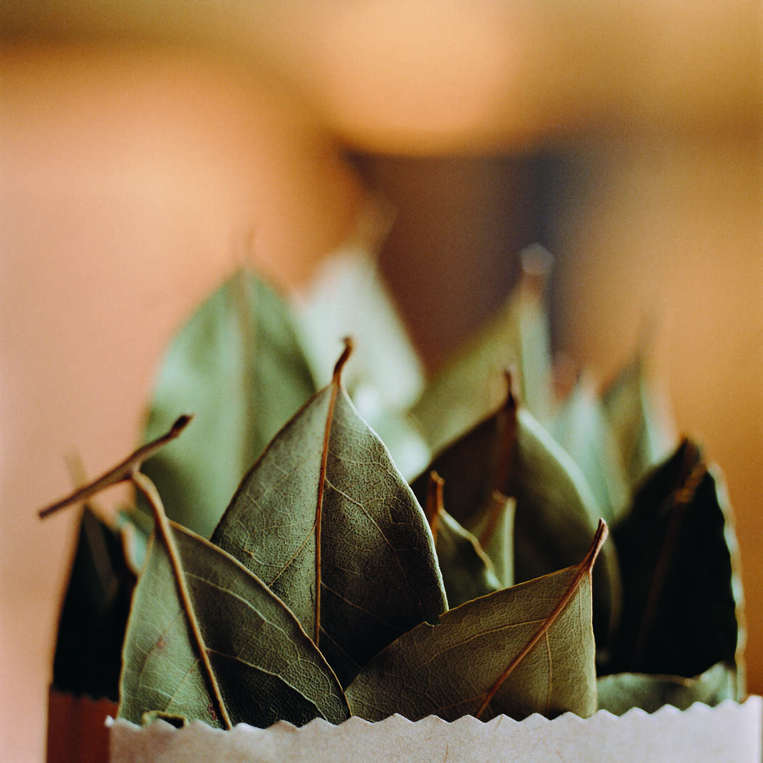 花果山云雾茶产自哪里？生态环境怎么样？