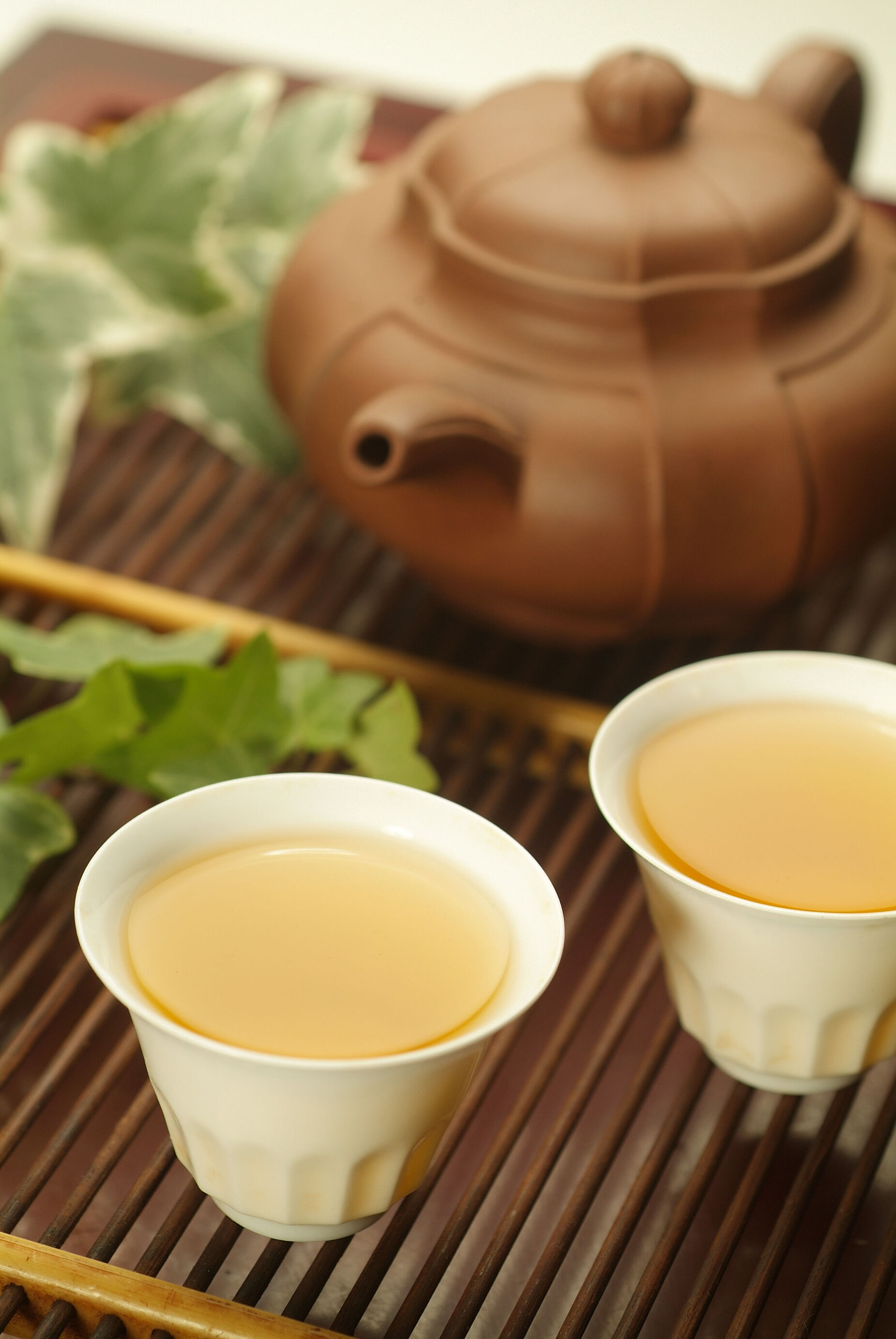 天池茗毫属于什么茶？生长环境有什么特点？